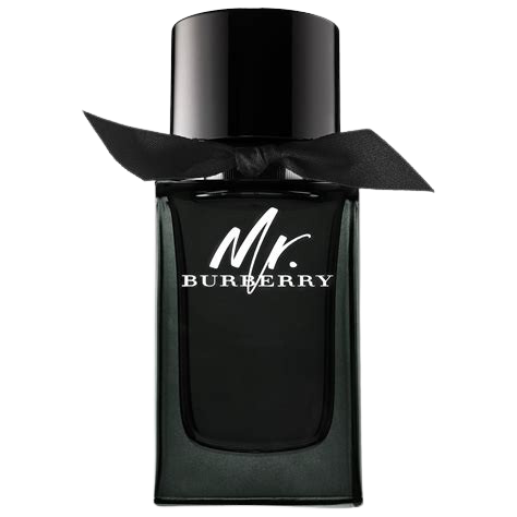 Mr. Burberry